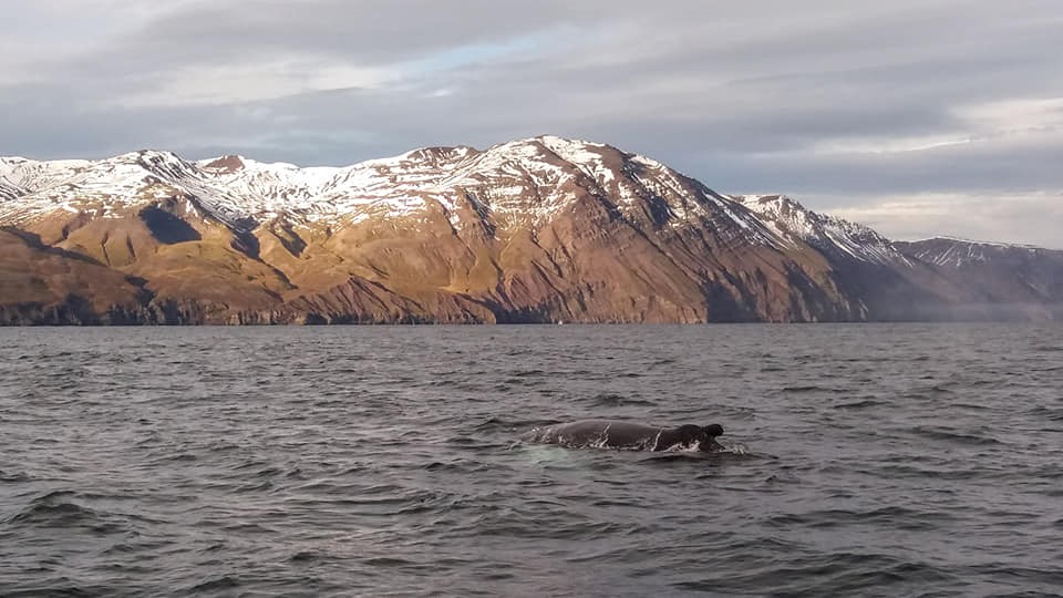 SA_last day of October1.jpg