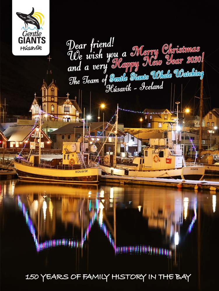Gentle Giants Whale Watching Iceland Christmas Greeting