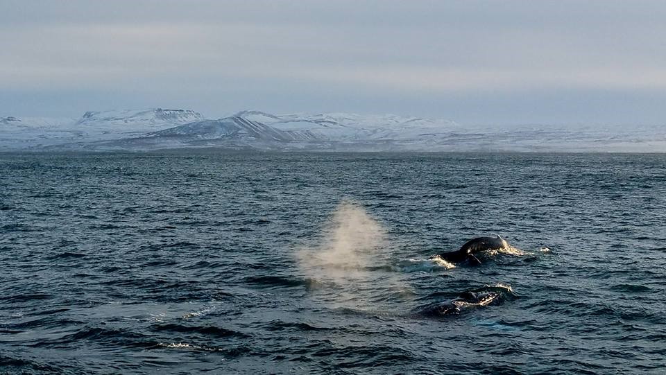 SA_first tour2020_2.jpg