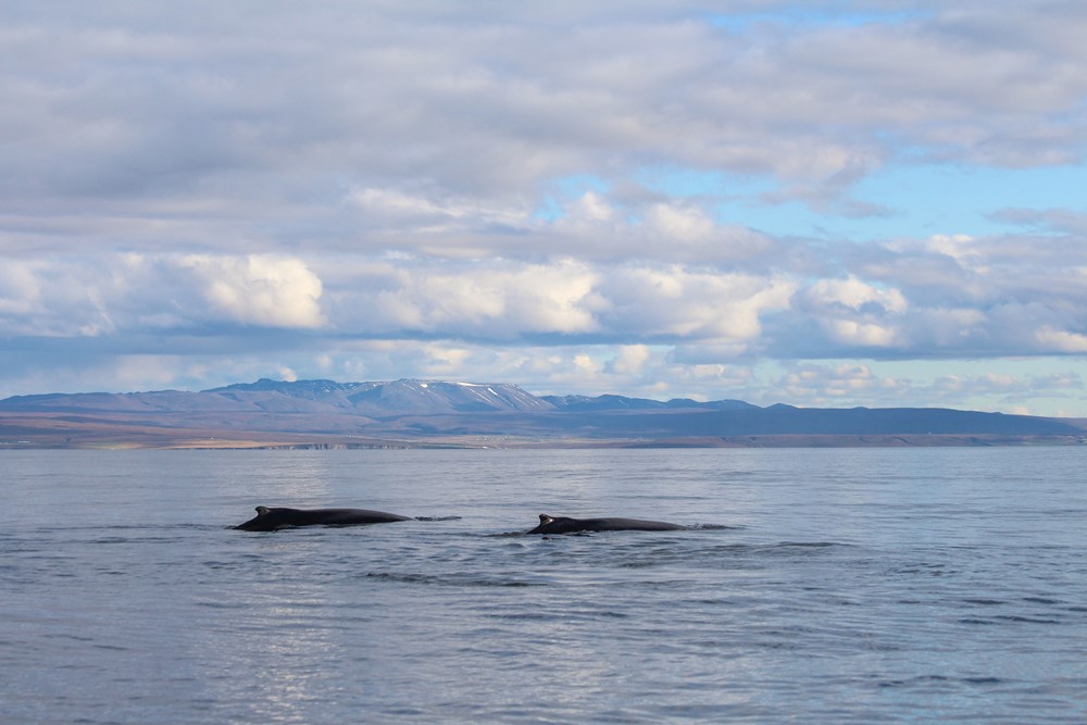 SA_end of season7.jpg