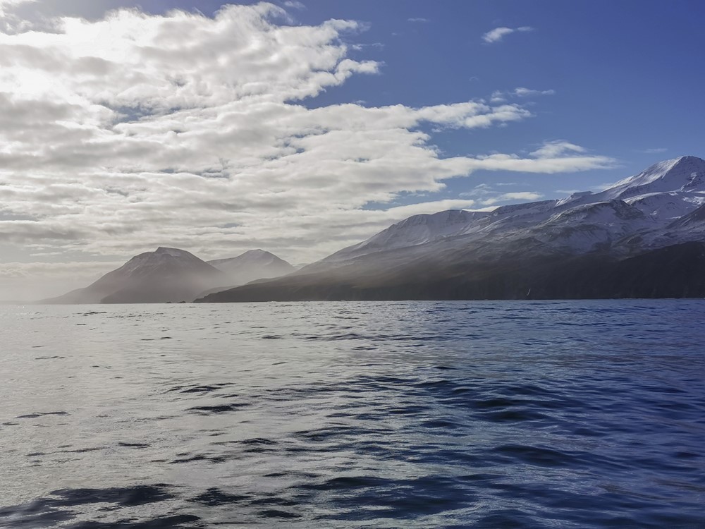 SA_end of season8.jpg