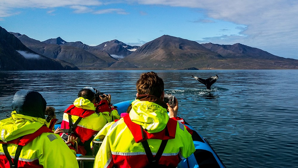 Humpback fluke close to mountains