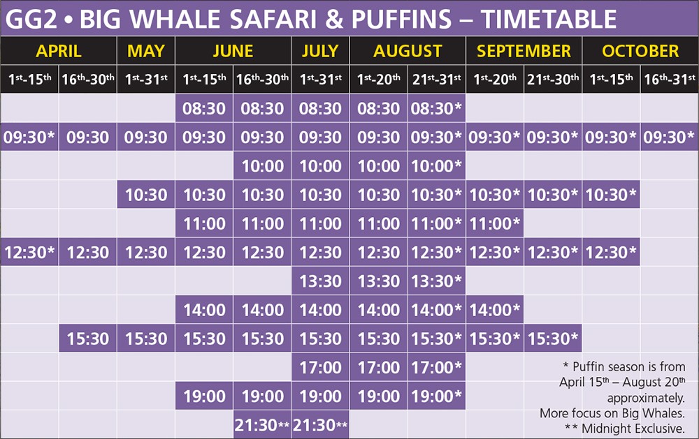 GG2 Big Whale Safari & Puffins - timetable 2022 - Húsavík whale watching