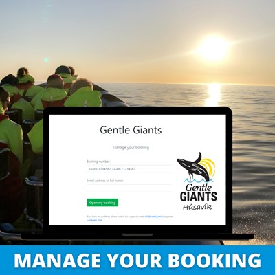 Manage Your Booking with Gentle Giants, Húsavík, Iceland