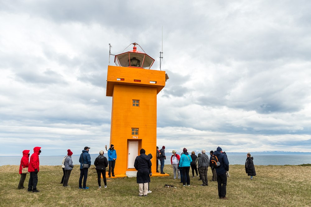 At the highest point of the Island, people were surprised by the amount of birdlife